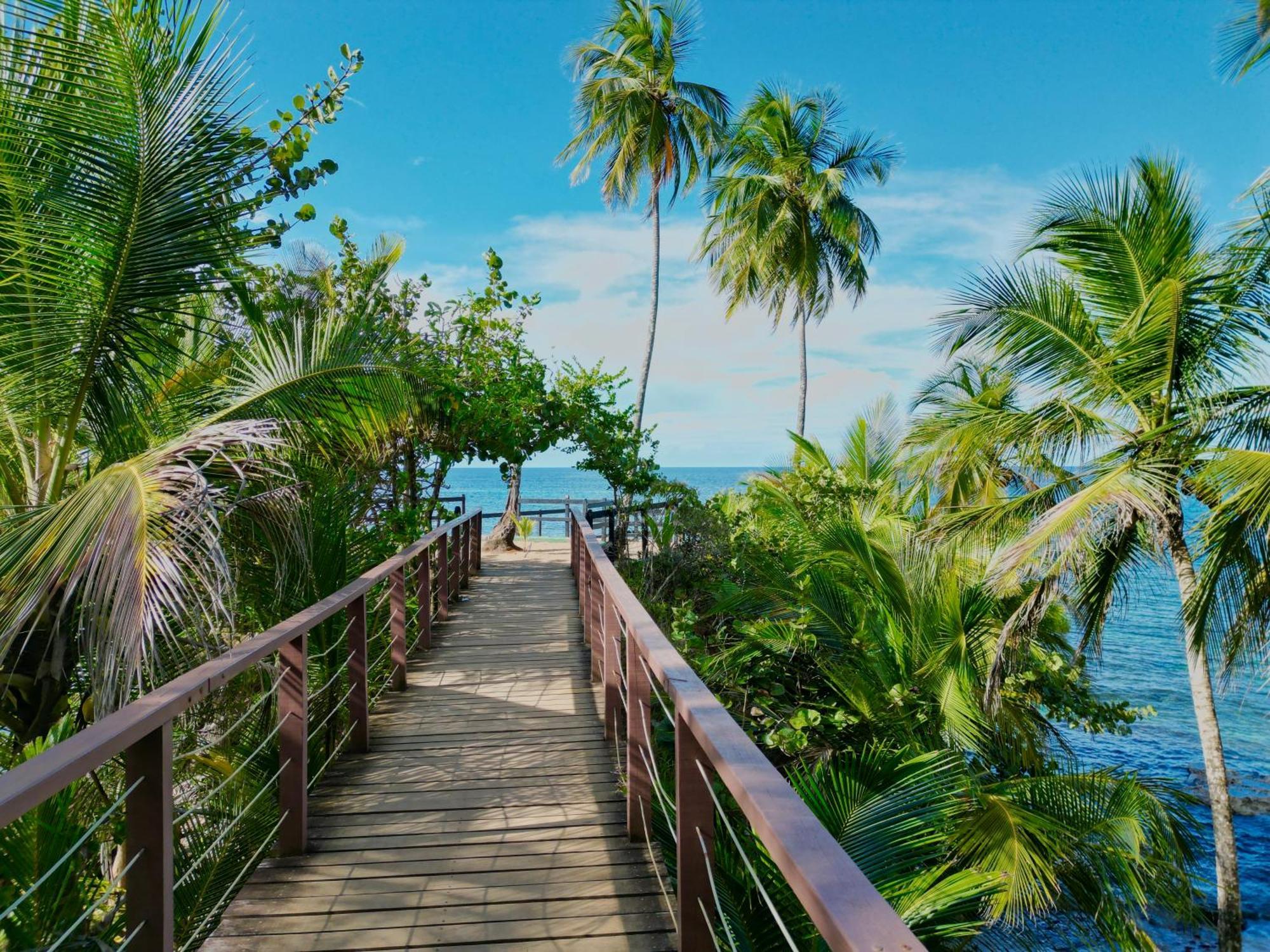 Oso Perezoso Pool Villa Puerto Viejo de Talamanca ภายนอก รูปภาพ
