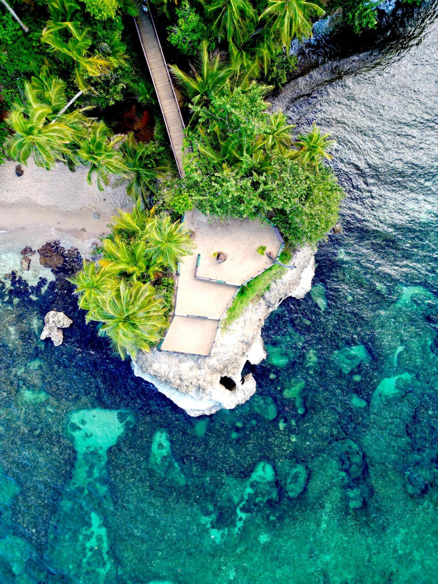 Oso Perezoso Pool Villa Puerto Viejo de Talamanca ภายนอก รูปภาพ